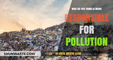 Pollution Crisis: Individuals or Corporations – Who Bears More Responsibility?