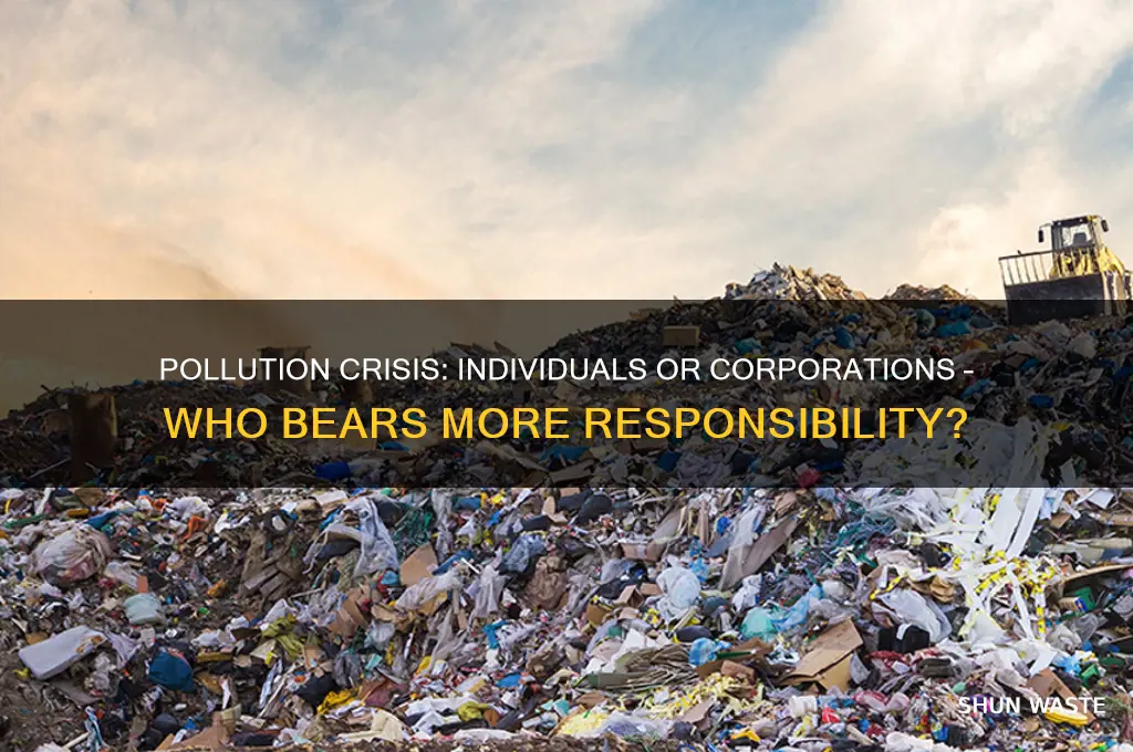 who do you think is more responsible for pollution