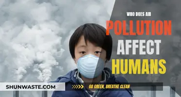 Air Pollution: A Global Health Crisis