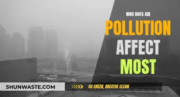 Air Pollution: Who Suffers Most?