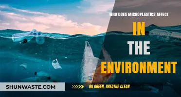 Microplastics' Impact: How They Affect Ecosystems and Wildlife Globally
