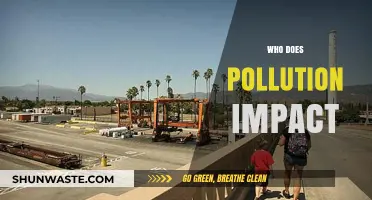 Pollution's Impact: Who Suffers Most and Why It Matters