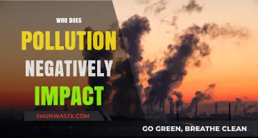 Pollution's Devastating Effects: Who Suffers the Most and How?