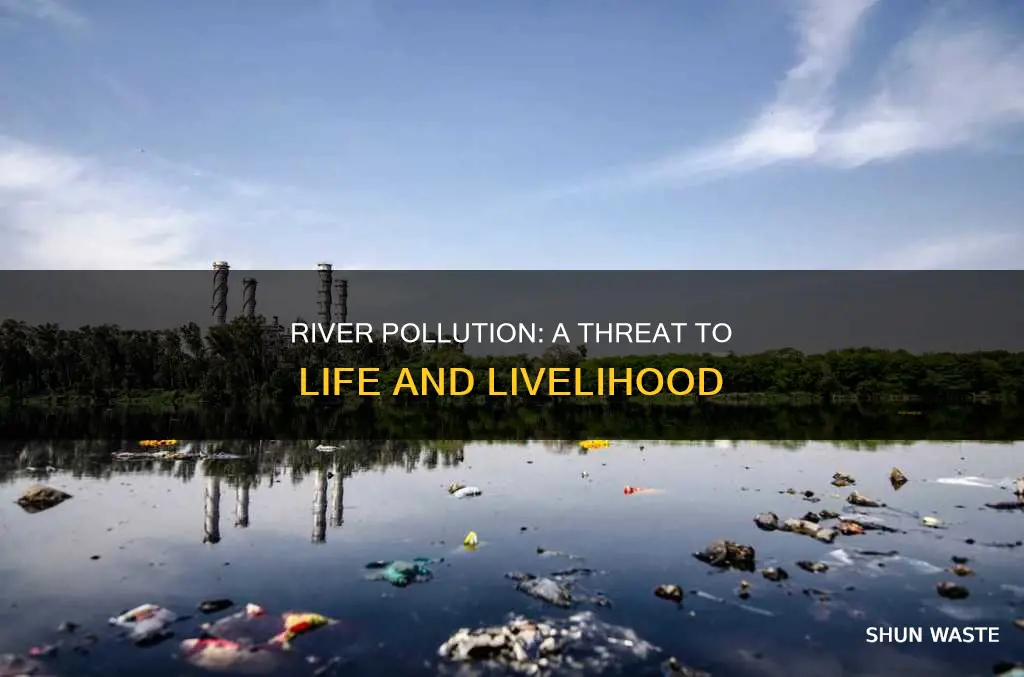 who does river pollution affect