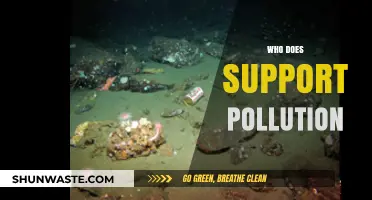Unveiling the Surprising Allies of Environmental Pollution and Its Impact