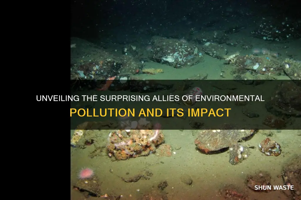 who does support pollution