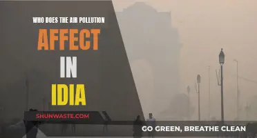 Air Pollution's Impact on India's Health and Environment