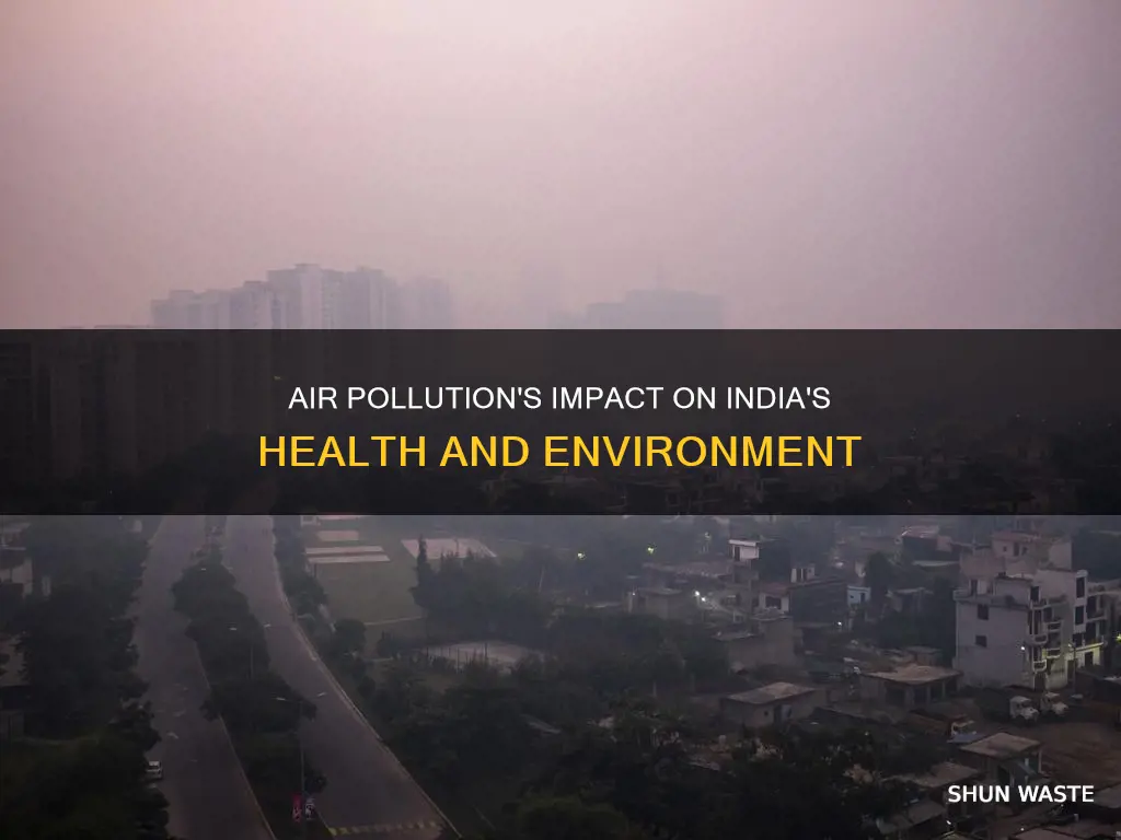 who does the air pollution affect in idia