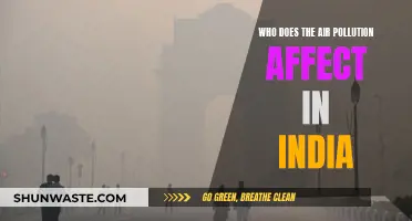 Air Pollution's Impact: India's Health Crisis