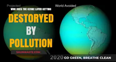Pollution's Silent Assault: How Human Activities Destroy the Ozone Layer