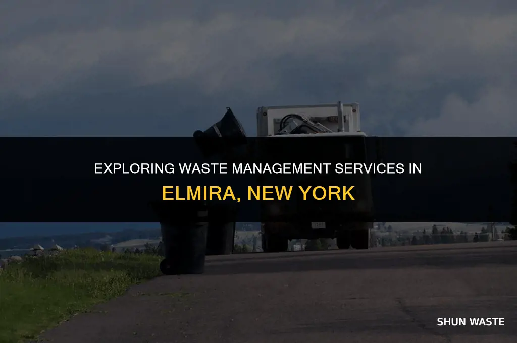 who does waste management in elmira ny