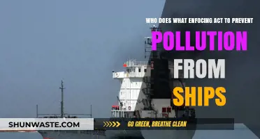 Who Enforces Anti-Pollution Acts for Ships? Key Roles Explained