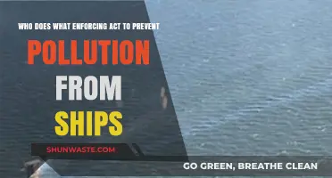 Enforcing Maritime Pollution Prevention: Roles and Responsibilities Explained