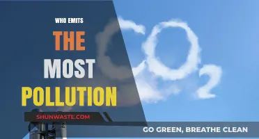 Unveiling the Top Polluters: Who Emits the Most Pollution?