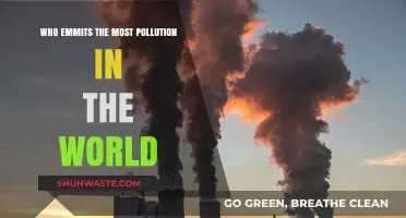 Global Pollution Leaders: Unveiling the World's Top Emitters and Impact