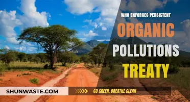 Who Enforces the Persistent Organic Pollutants Treaty Globally?