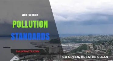 Who Enforces Pollution Standards? Understanding Regulatory Bodies and Their Roles