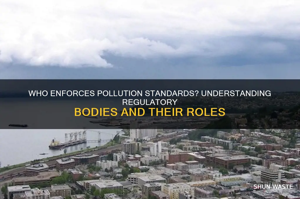 who enforces pollution standards