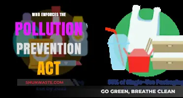 Who Enforces the Pollution Prevention Act: Key Agencies and Roles