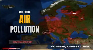 Europe's Air Pollution: Who's to Blame?