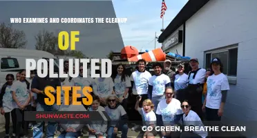 Environmental Cleanup Coordinators: Who Oversees Polluted Site Remediation?