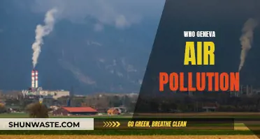 Geneva's Air Pollution: A Troubling Concern