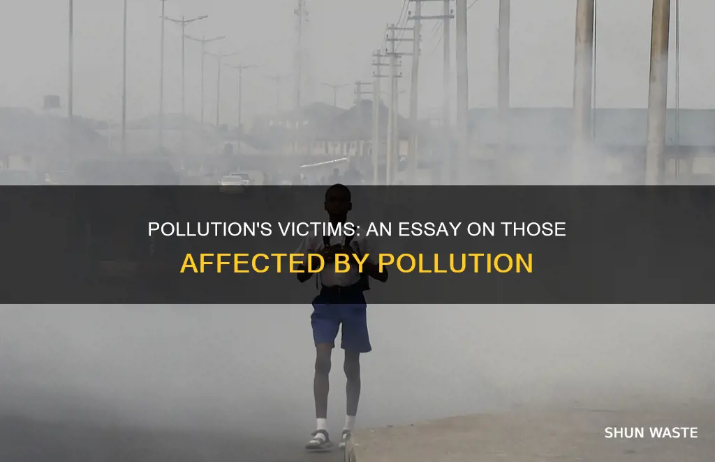 who gets affected by pollution essay