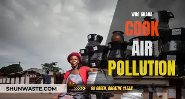 Ghana's Air Pollution: Cooking's Health Impact