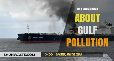 Gulf Pollution Crisis: Why Should We Care and Act Now?