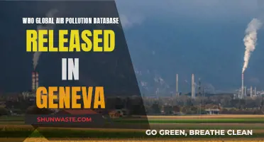 Air Pollution Database: Geneva's Global Warning