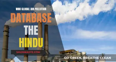 Air Pollution: Global Database Insights