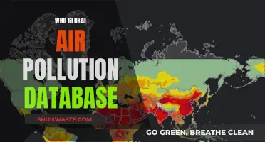 Air Pollution Database: Global Health Impact Insights