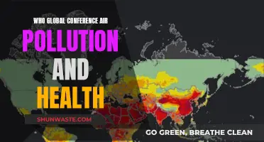 Global Action on Air Pollution and Health