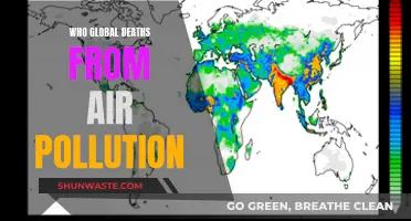 Air Pollution's Global Death Toll