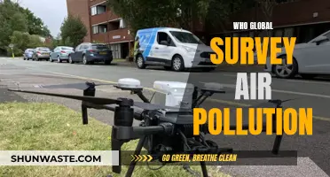 Air Pollution: Global Survey Insights