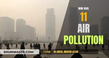 Cities Choking: WHO Goal 11 to Reduce Air Pollution
