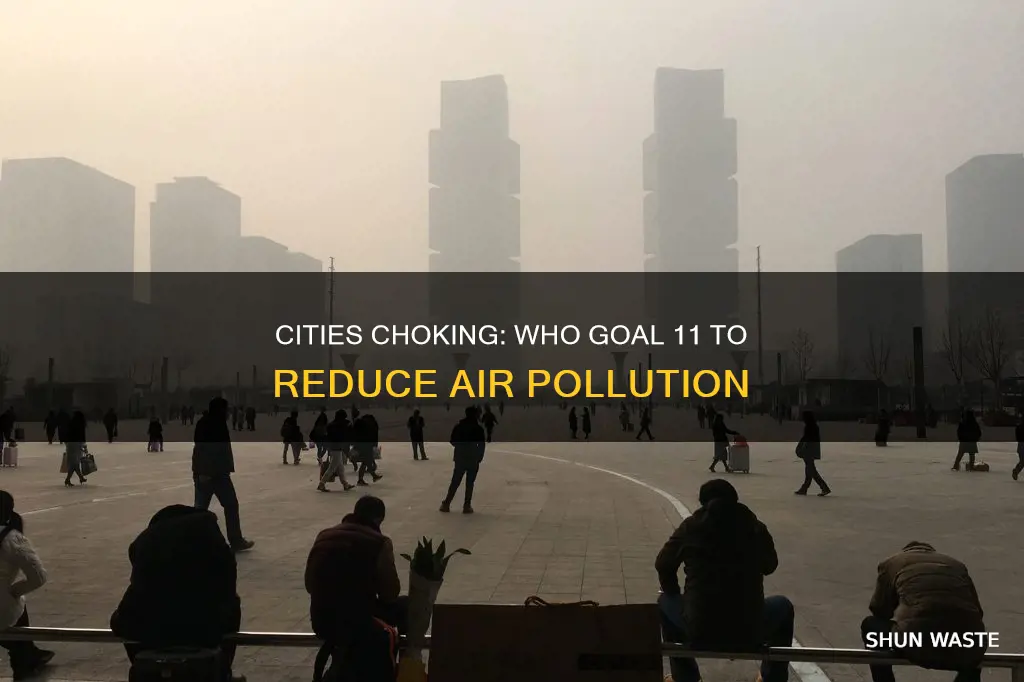 who goal 11 air pollution