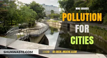 Who Monitors and Grades Urban Pollution Levels in Cities?