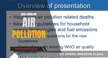 Air Pollution: WHO Guidelines for a Healthier Planet