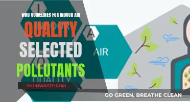WHO's Air Quality Guidelines: Selected Indoor Pollutants