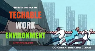 Discovering Laid-Back, Teachable Workplaces: A Guide to Ideal Tech Environments