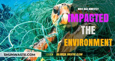 Human Actions and Their Direct Impact on the Environment