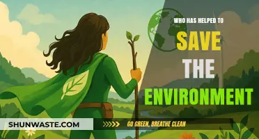 Environmental Heroes: Celebrating Champions Who Saved Our Planet