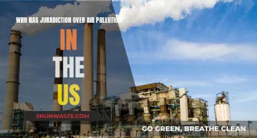 Air Pollution Accountability: Who's in Charge?