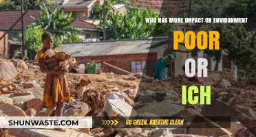 Environmental Impact: Do the Poor or Rich Contribute More to Degradation?
