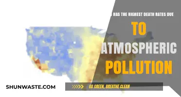 Deadly Air: Which Countries Suffer Highest Pollution-Related Death Rates?