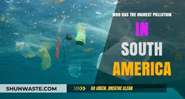 South America's Pollution Crisis: Which Country Tops the List?
