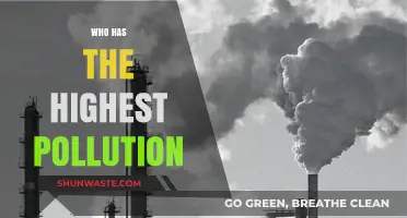 Global Pollution Crisis: Which Country Tops the Toxic Emissions List?