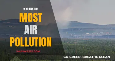 Air Pollution: Who Suffers the Most?