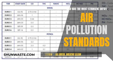 Global Diesel Pollution Standards: Who Leads?